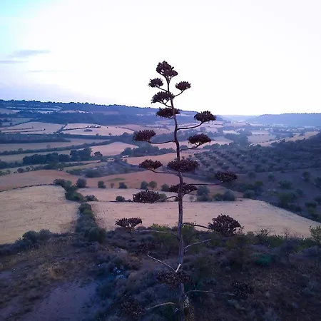 Holiday home Cal Rei Granena de Cervera